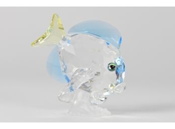 Swarovski Colored Tang Fish  With Original Box