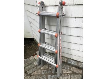 Little Giant Extension Ladder