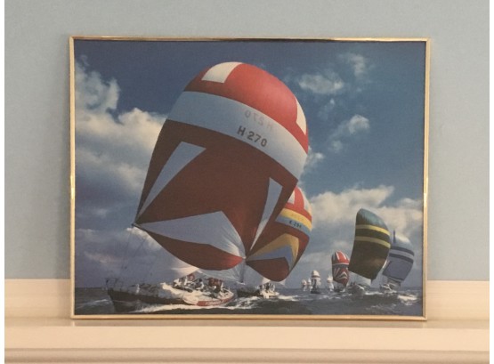 Sailing Race Framed Picture
