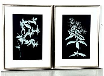 Pair Of Uttermost Framed Botanical Prints