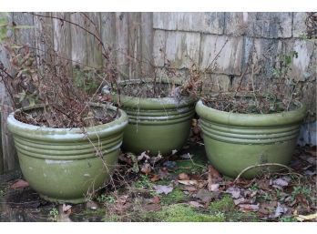 Trio Of Green Painted Round Plastic Planters With Perennials