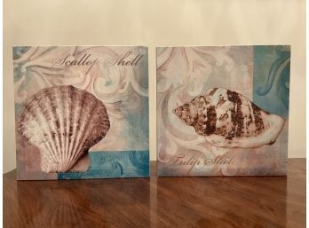 Pair Of Seashell Wrapped Canvas Artwork