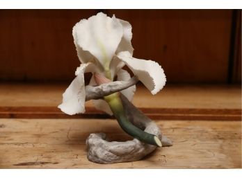Boehm Pontiff Iris Flower Porcelain Sculpture