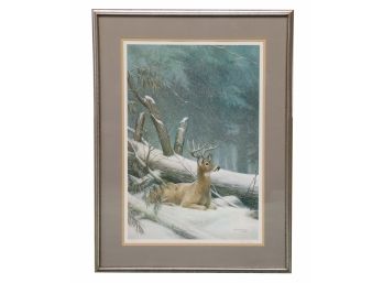 Ned Smith Deer Snow Signed Print