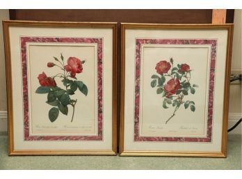 Pair Of Botanical Prints