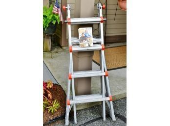 Little Giant Model 10102 Ladder