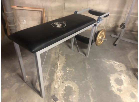 Gym Bench With Plates