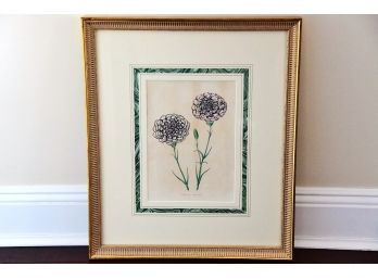 19th Century Framed Botanical