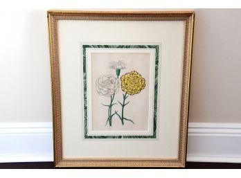 19th Century Framed Botanical