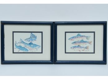 Brook Trout And Golden Trout Framed Fish Prints