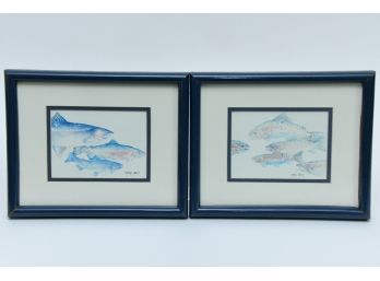 Steelhead And Rainbow Trout Framed Fish Prints