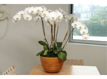 Large Ceramic Planter With Live Orchid
