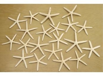 Collection Of Dried Starfish