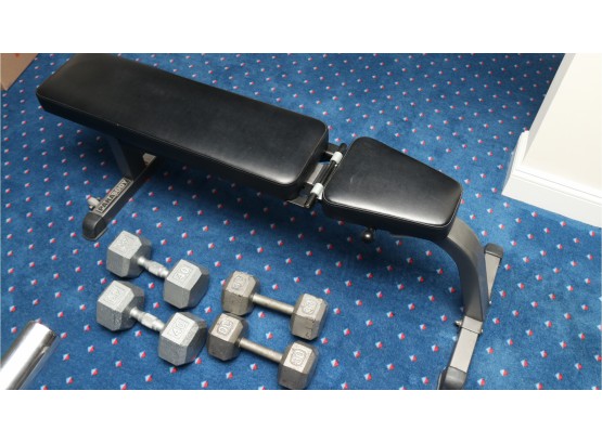 ParaBody Adjustable Workout Bench With Dumbbell Weights