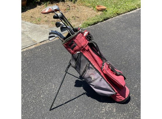 Various Golf Clubs In Red Bag