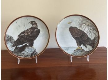Two Majestic Birds Of Prey Limited Edition Plates