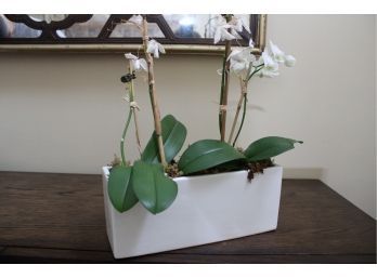 Faux Orchid Display In Modern White Planter