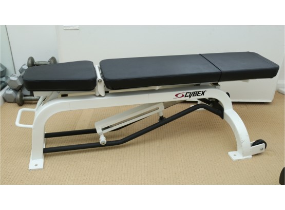 Cybex Adjustable Workout Bench