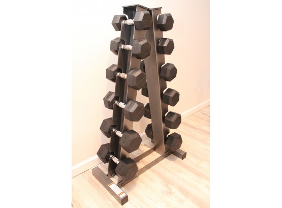 Dumbell Sets With Parabody Weight Stand