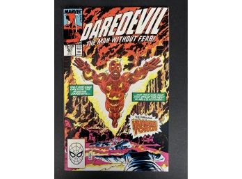 Daredevil The Fabulous Human Torch #261