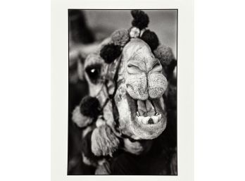 Laughing Camel, Tanzania,1997 By Patrick Demarchelier
