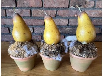 Trio Of Display Pears