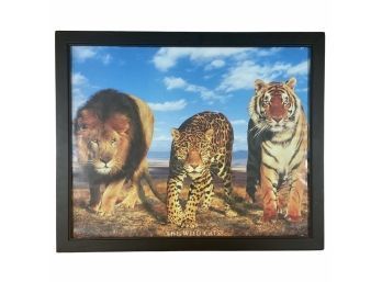 The Wild Cats Framed Poster
