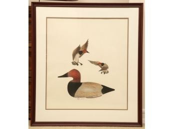 Potomac River Duck Numbered Serigraph