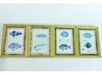 Set Of Four Framed Fish Prints
