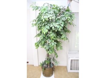 Large Decorative Plant