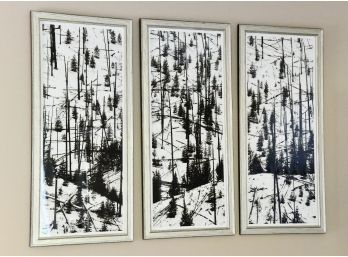 Triptych Framed Picture Group