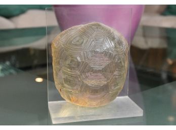 Lucite Tortoise Shell