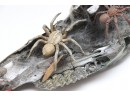 Interesting Spider Web Display