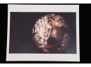 Christy Turlington For Yves Saint Laurent By Glen Luchford C-print  Fuji Color Crystal Archive Paper