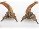 Pair Of Ram Horn Candle Holders