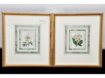 Framed Botanical Prints Peony And Rhododendron