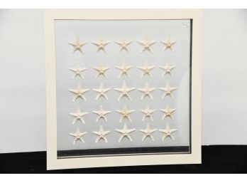 Knobby Starfish Display In Floating Frame