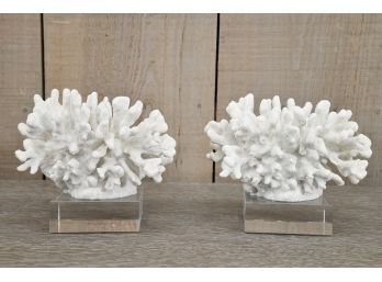 Rising White Faux Coral Display On Lucite Base