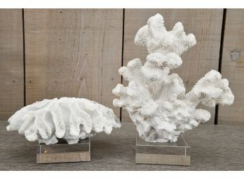 White Coral Sculptures On Lucite Stand