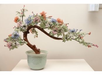 Chinese Bonsai Blossom Tree