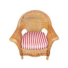 Wicker Rattan Modern Arm Chair With Cushion