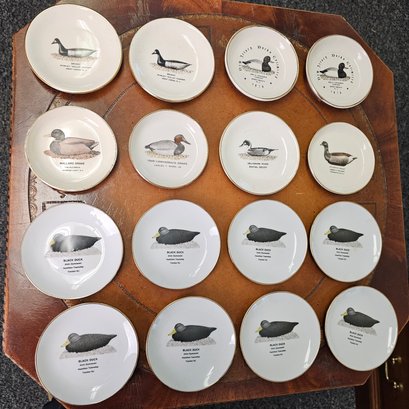 Vintage American Bird Decoys Collectible Mini Porcelain Plates  #71