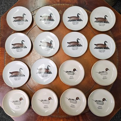 Vintage American Bird Decoys Collectible Mini Porcelain Plates  #72