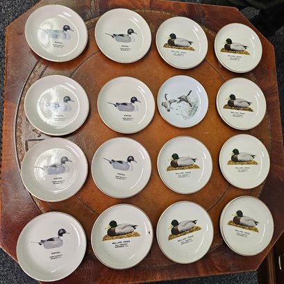 Vintage American Bird Decoys Collectible Mini Porcelain Plates  #73
