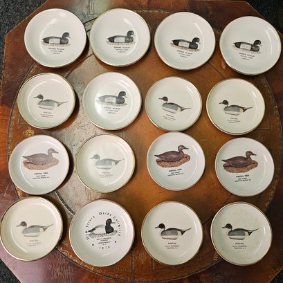 Vintage American Bird Decoys Collectible Mini Porcelain Plates  #78
