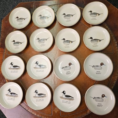 Vintage American Bird Decoys Collectible Mini Porcelain Plates  #80