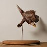 Bald Eagle Catching Fish Sculpture #51