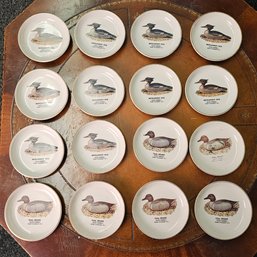 Vintage American Bird Decoys Collectible Mini Porcelain Plates  #87