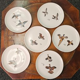 Lot Of 6 Vintage American Bird Decoys Collectible Plates  #91