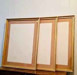 Lot Of 3 Modern Gold Frames With Glass 28.5 X 21.5  #134